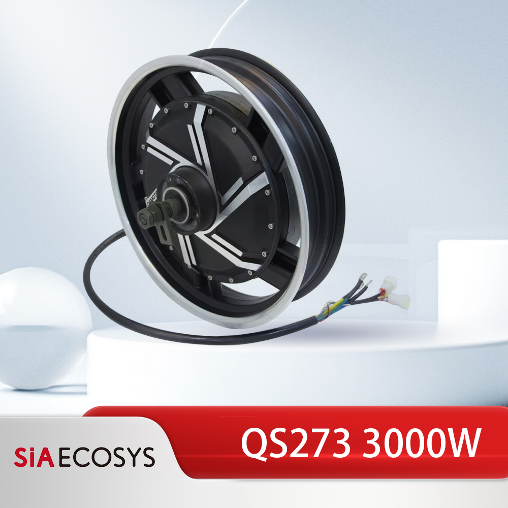 17 Inch Motorcycle Rim Hub Motor 72V - QSMOTOR QS273 17 inç 3000W V3