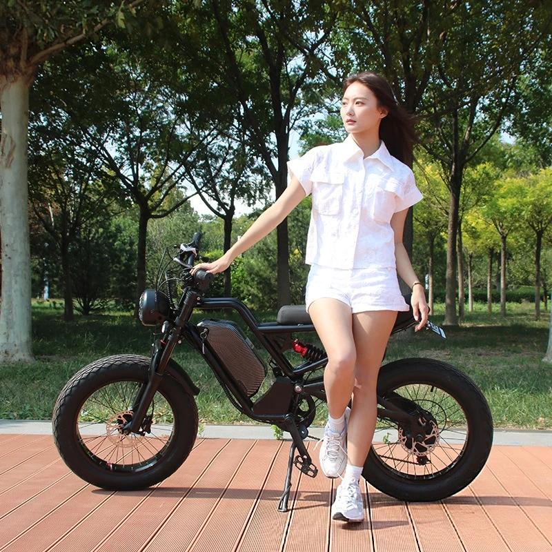 SXLL SXLL13Ah lityum batarya 4 - 48V 1500W Rear Hub Motor With Battery incelemesi ve fiyatı